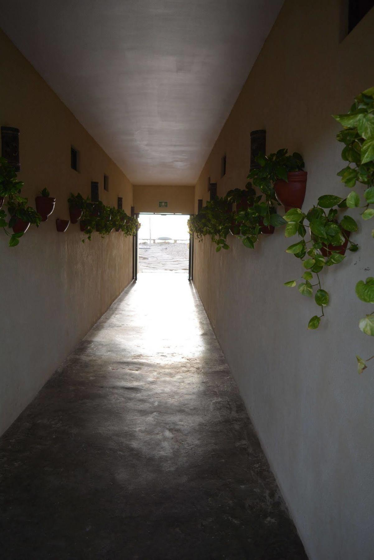 Tortugas Cerritos Beachfront Hotel El Pescadero  Exterior photo